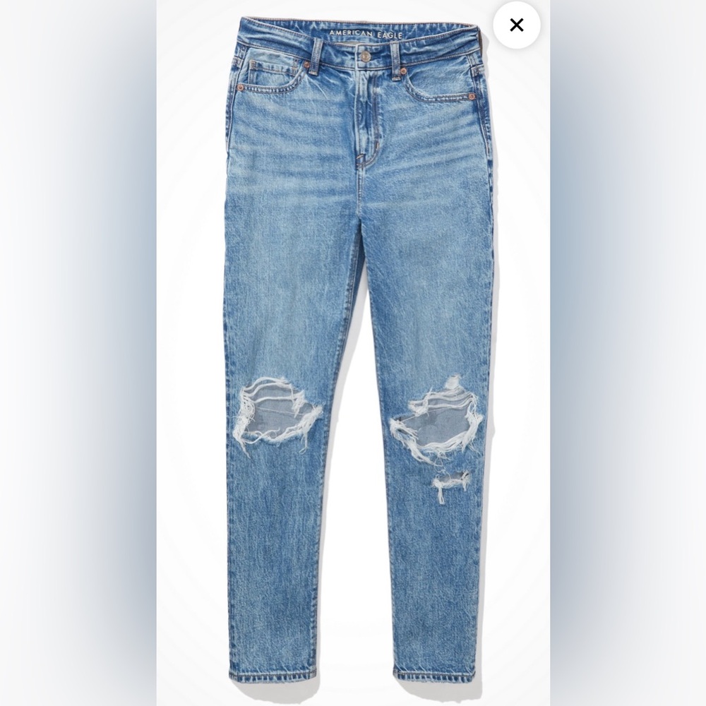 American Eagle/Strigid Mom Jeans/ Size 14 Long